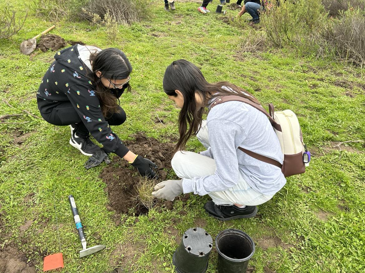 oc_habitat_restoration